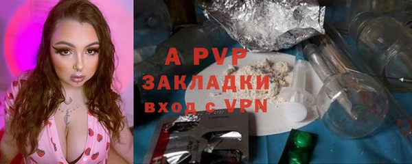 дживик Вязьма