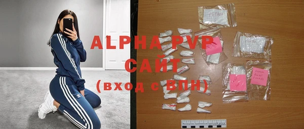 дживик Вязьма