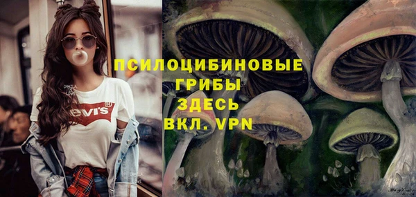 первитин Вяземский
