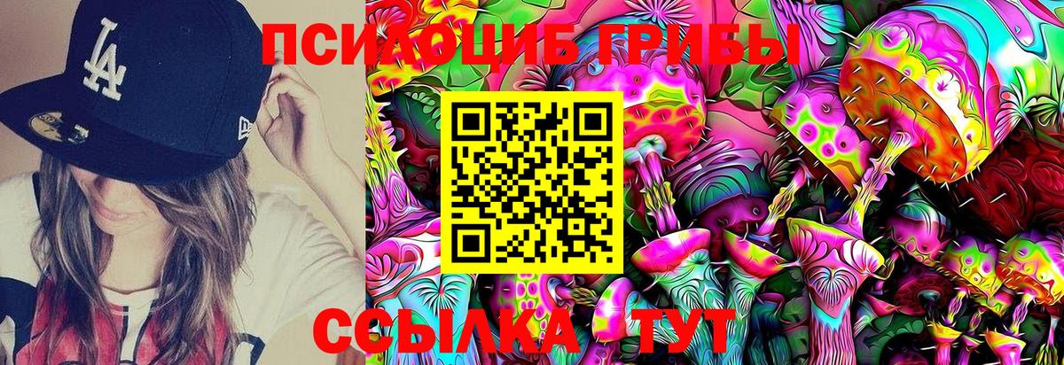 Галлюциногенные грибы Magic Shrooms  Вход с VPN  Псилоцибиновые грибы MAGIC MUSHROOMS  купить  цена  Зеленогорск 
