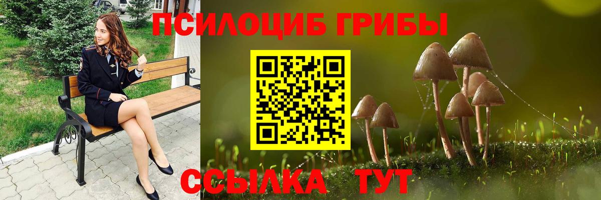 Галлюциногенные грибы мицелий Зеленогорск