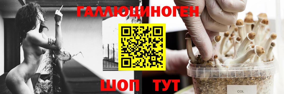 Конопля  Зеленогорск  Cocaine  Мефедрон   ГАШИШ  ГАШ  Вход с VPN  Альфа ПВП СК  
